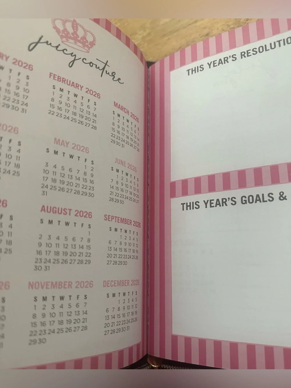 Juicy Couture 2026/2027 Planner Zipper Heart Pen Pink Agenda 250 Pages 9” New